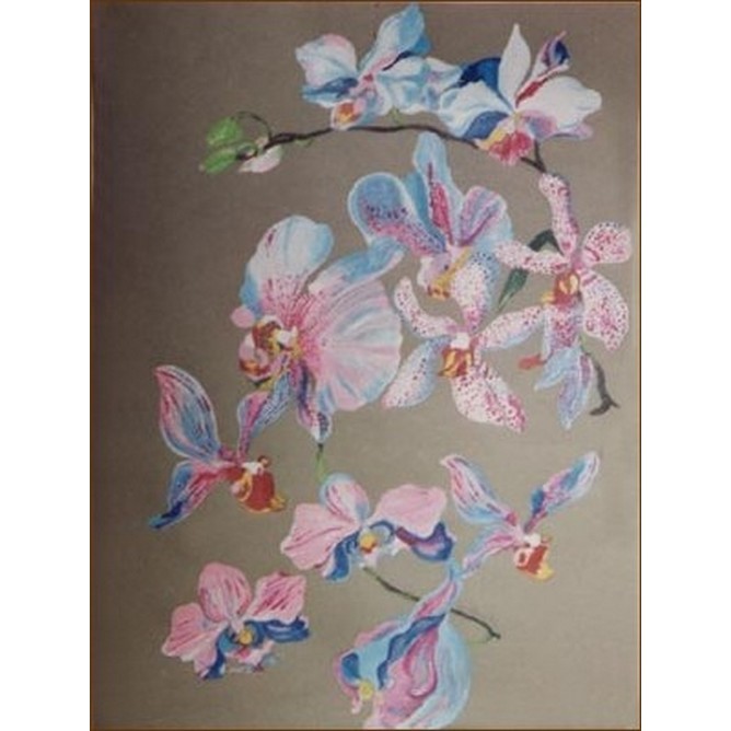 Orchidee